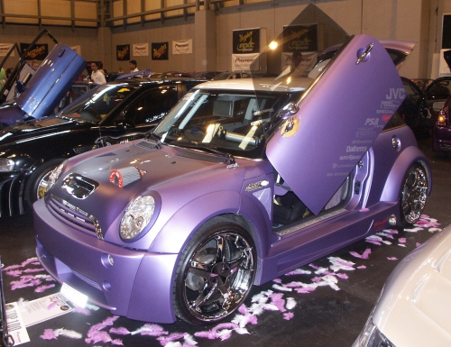 Modified Mini